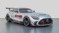 Mercedes-Benz AMG GT Track Series Argent - thumbnail 1