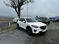 Mazda CX-5 Takumi AWD Weiß - thumbnail 2