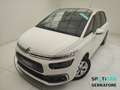 Citroen C4 Picasso II 1.6 bluehdi Live s&s 120cv Weiß - thumbnail 15