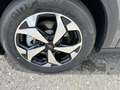 Ford Tourneo Connect Active AWD Grijs - thumbnail 7