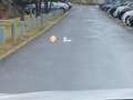 BMW X1 xDrive25dAut. M Sport HiFi NAVI LED Alcantara Blanc - thumbnail 16
