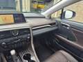 Lexus RX 450h 4WD President Line Grey - thumbnail 4