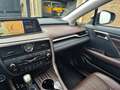 Lexus RX 450h 4WD President Line Grau - thumbnail 19