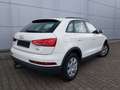 Audi Q3 Weiß - thumbnail 6