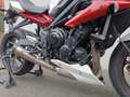 Triumph Street Triple R Street Triple 675 R ABS (2013-2017) Blanco - thumbnail 4