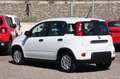 Fiat Panda 1.0 FireFly S&S Hybrid Grigio - thumbnail 8