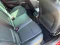 Renault Megane TCe140 BOSE 17"/SITZH/NAVI/WINTERRÄDER Rojo - thumbnail 12