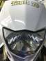 Yamaha WR 250 Blanco - thumbnail 8