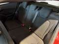 Ford Fiesta 5 Porte 1.5 TDCi ST-Line Rosso - thumbnail 11
