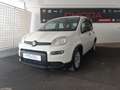 Fiat Panda Panda 1.0 firefly hybrid s Blanc - thumbnail 1