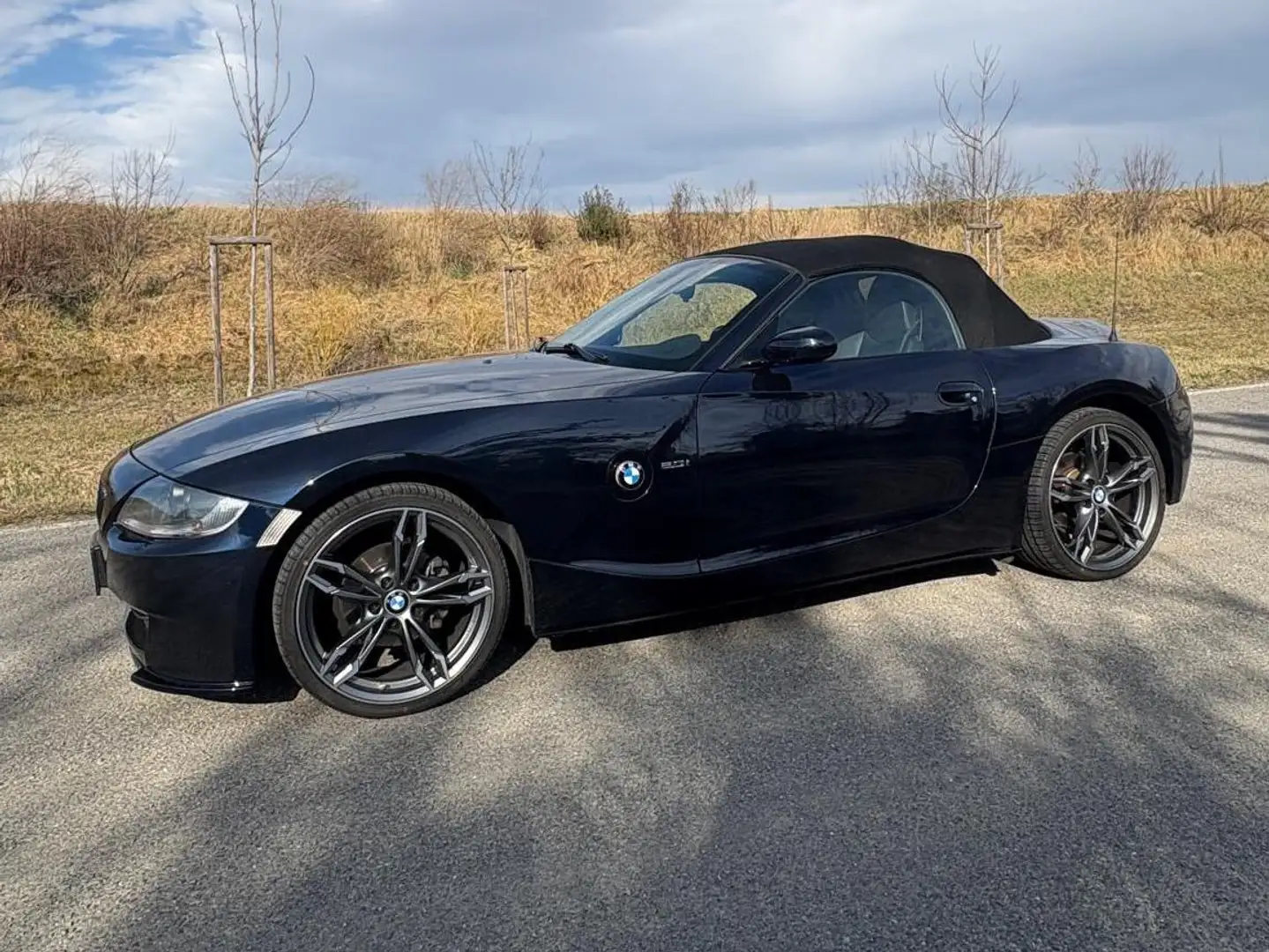 BMW Z4 Z4 2,0i Blau - 2