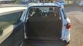Ford EcoSport 1.5 TDCi 100 CV Start&Stop Titanium Alb - thumbnail 8