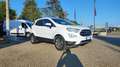 Ford EcoSport 1.5 TDCi 100 CV Start&Stop Titanium Alb - thumbnail 13