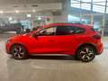 Ford Focus Active 1.0 ecoboost h 125cv - 47888 Rosso - thumbnail 1