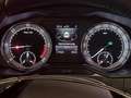 Skoda Superb Superb 2.0Tdi EU6d Autom LED Camera DAB 1e Hand Gris - thumbnail 10