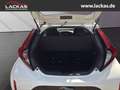 Toyota Aygo X Business Edition 1.0 VV T-i EU6d Apple CarPlay Android Auto Musikstreaming DAB Weiß - thumbnail 19