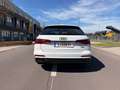 Audi A6 A6 Avant 50 TDI quattro tiptronic Weiß - thumbnail 8