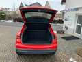 Audi Q3 35 TFSI LED Navi SH DAB AHZV Toter-Winkel uvm Rot - thumbnail 7