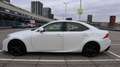 Lexus IS 300 Hybrid Luxury Line 300h Beyaz - thumbnail 11