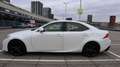 Lexus IS 300 Hybrid Luxury Line 300h Bianco - thumbnail 11