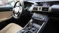 Lexus IS 300 Hybrid Luxury Line 300h Blanco - thumbnail 18
