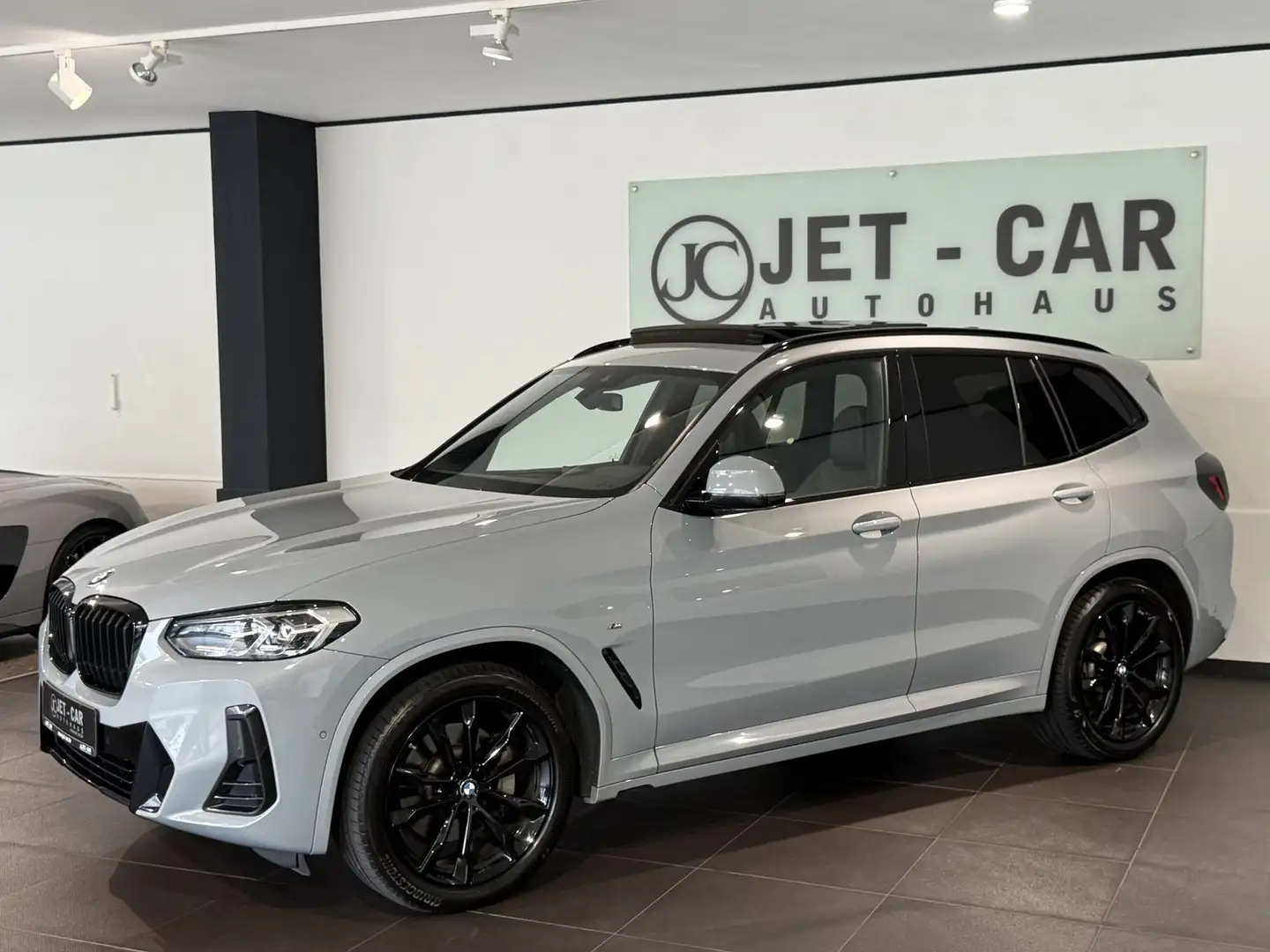 BMW X3 xDrive 30 d M Sport *Pano-LED-STHZ-1. Hand* Grau - 1