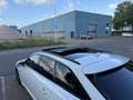 Audi A6 Avant 55 TFSI e quattro Pro Line S Competition Blanco - thumbnail 6