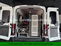 Ford Transit 350 L3 Trend*Behindert/Krankentransport* Weiß - thumbnail 36