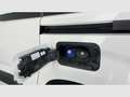 Citroen Berlingo Talla M BlueHDi 100 S&S LIVE Blanco - thumbnail 34