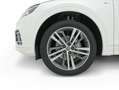 Audi Q5 40 TDI S line quattro-ultra S tronic 140kW Blanco - thumbnail 24