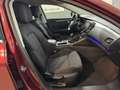 Renault Talisman Zen Energy dCi 110*1-Besitz* Rot - thumbnail 11