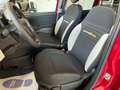 Fiat Panda Pandina 1.0firefly hybrid 70cv 2025 CROSS Rosso - thumbnail 11