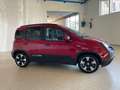 Fiat Panda Pandina 1.0firefly hybrid 70cv 2025 CROSS Rosso - thumbnail 8