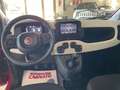 Fiat Panda Pandina 1.0firefly hybrid 70cv 2025 CROSS Rosso - thumbnail 13