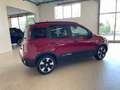 Fiat Panda Pandina 1.0firefly hybrid 70cv 2025 CROSS Rosso - thumbnail 7
