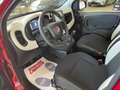 Fiat Panda Pandina 1.0firefly hybrid 70cv 2025 CROSS Rosso - thumbnail 10