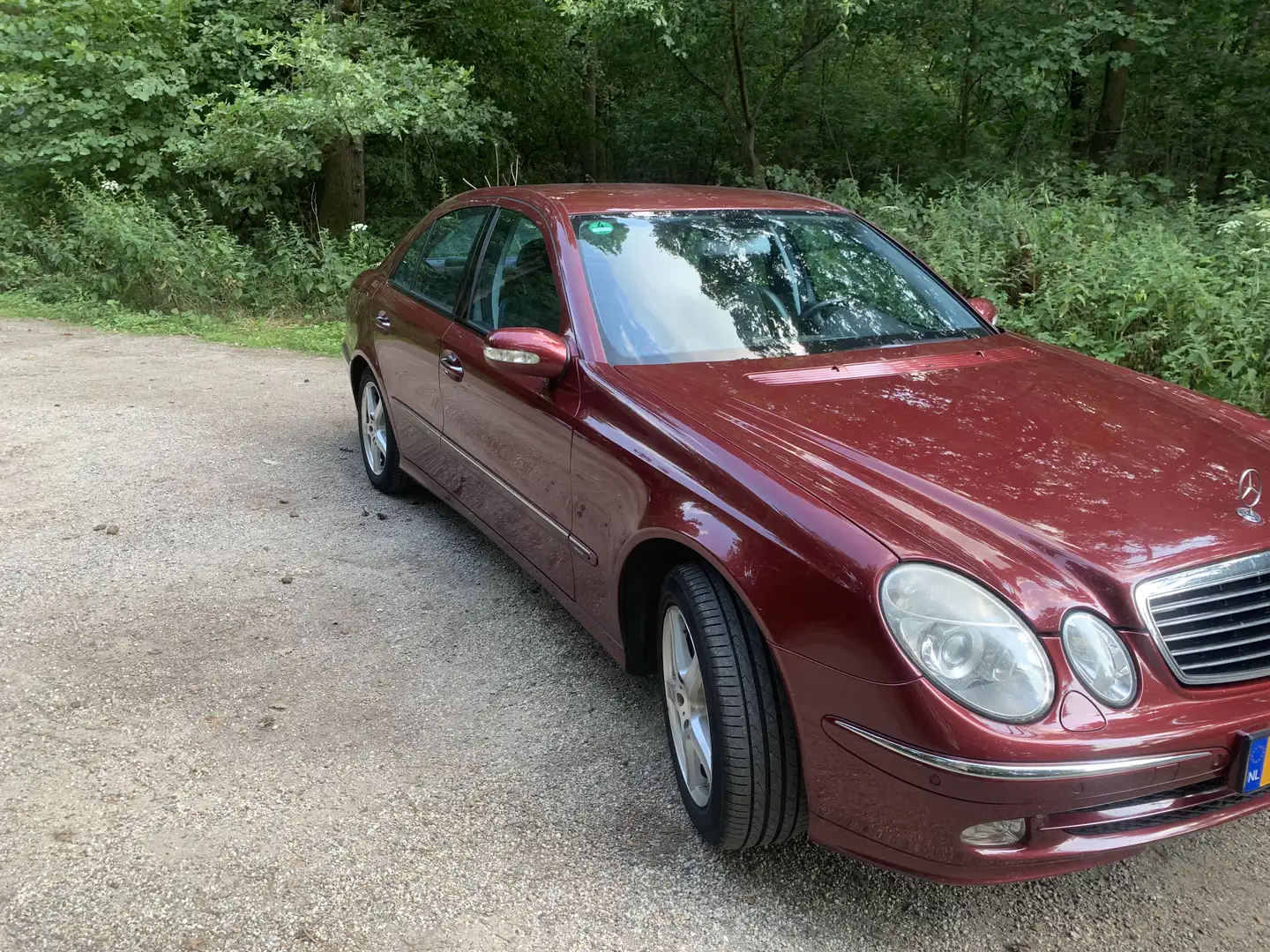 Mercedes-Benz E 240 Avantgarde Rojo - 1