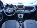 Fiat Panda 4X2 FIREFLY HYBRID 70 Rot - thumbnail 11