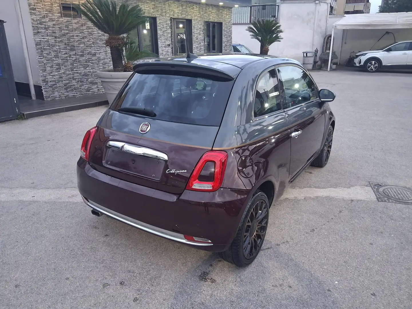 Fiat 500 500 1.2 Collezione 69cv c/sensori parcheggio Mauve - 2