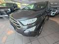 Ford EcoSport EcoSport 2018 1.0 ecoboost Titanium s Grigio - thumbnail 10