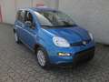 Fiat Panda 1.0 firefly hybrid S&S KM 0 Neopatentati Blu/Azzurro - thumbnail 2
