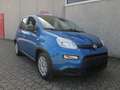 Fiat Panda 1.0 firefly hybrid S&S KM 0 Neopatentati Blu/Azzurro - thumbnail 1