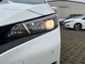 Nissan Leaf Acenta ACC AUT Winterp. 360 Fernlichtass. Weiß - thumbnail 7