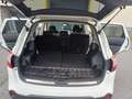 Nissan Qashqai+2 1.5 dCi DPF acenta - thumbnail 16