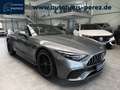Mercedes-Benz SL 43 AMG SL 43 AMG PREMIUM+GUARD-REALPERF SOUND-SITZKLIMA Grau - thumbnail 1