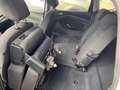 Ford C-Max 1.6TDCi Edition 115 Blanco - thumbnail 22