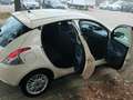 Lancia Ypsilon 1.2 8v Elle 69cv Beige - thumbnail 8