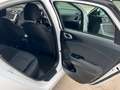 Kia KIA Ceed Pequeño  Manual de 5 Puertas Blanc - thumbnail 24