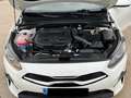 Kia KIA Ceed Pequeño  Manual de 5 Puertas Blanc - thumbnail 17