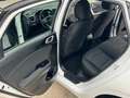 Kia KIA Ceed Pequeño  Manual de 5 Puertas Blanc - thumbnail 23